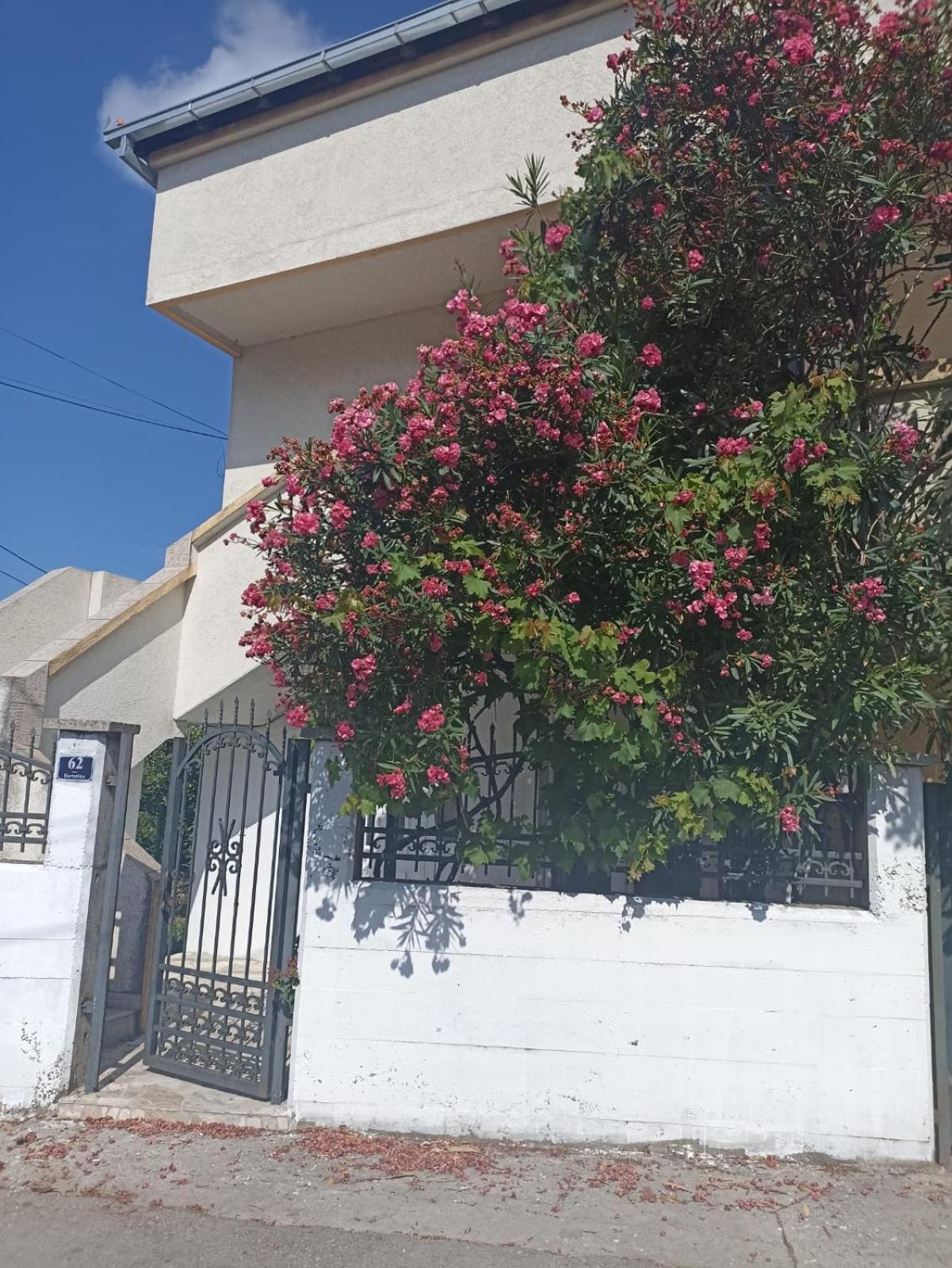 شقة Boho Apart بار المظهر الخارجي الصورة